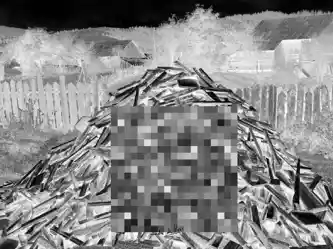 Woord cleaved Roumania negative