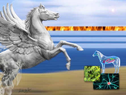 Horse, fire, earth, water, air